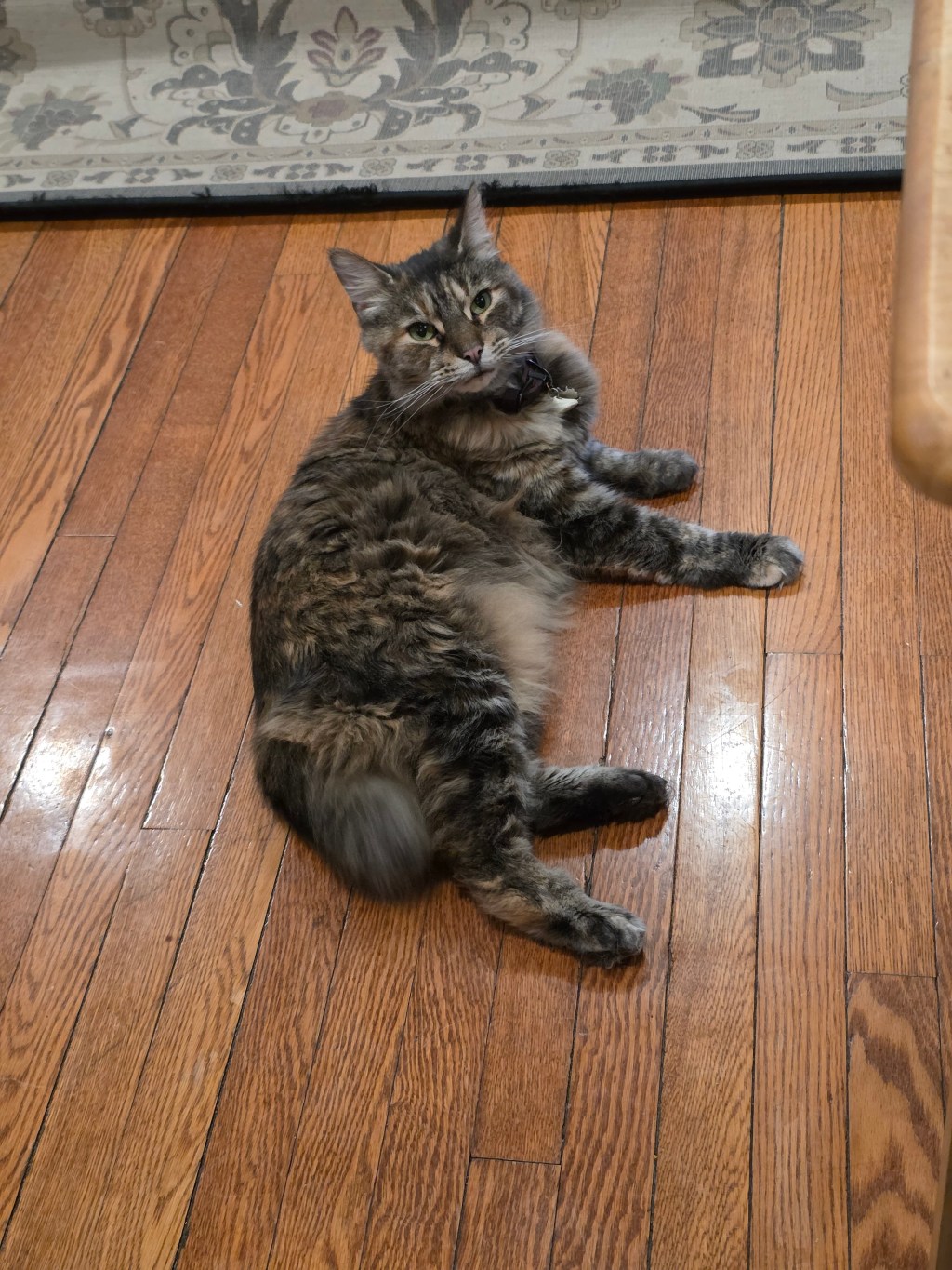 Gratitude In & Gratitude Out